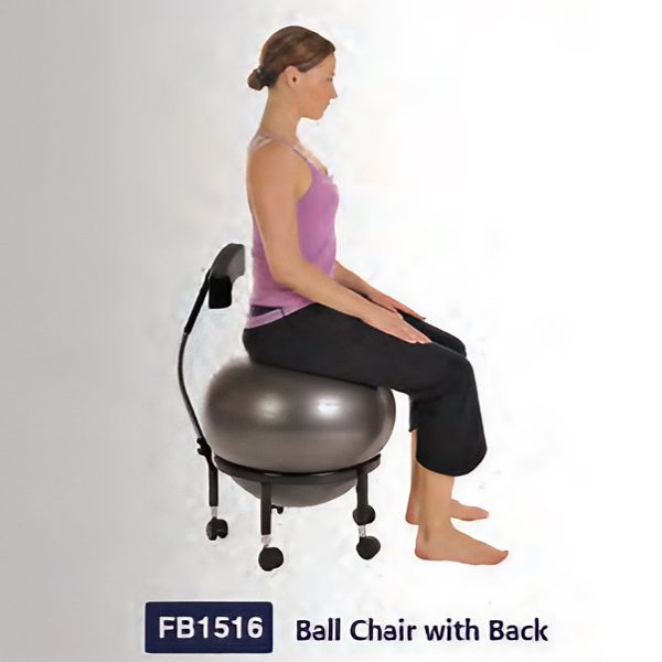 Ball Chair with Back