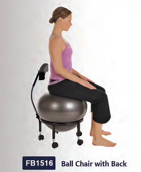 Ball Chair with Back